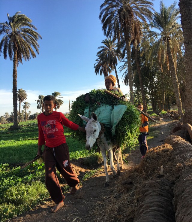 2016-12-08-15-43-20-4